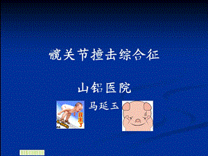 最新髋关节撞击综合征PPT文档.ppt