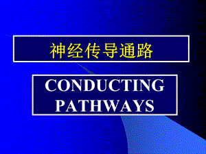 [临床医学]神经传导通路.ppt