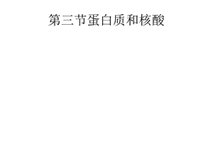 第三节蛋白质和核酸名师编辑PPT课件.ppt