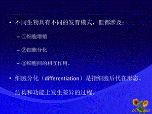 最新第十四部分细胞分化教学课件PPT文档.ppt