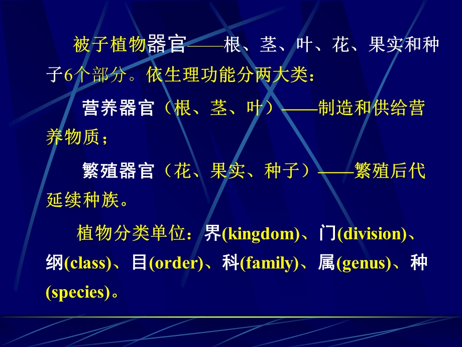 最新植物解剖学基础PPT文档.ppt_第1页