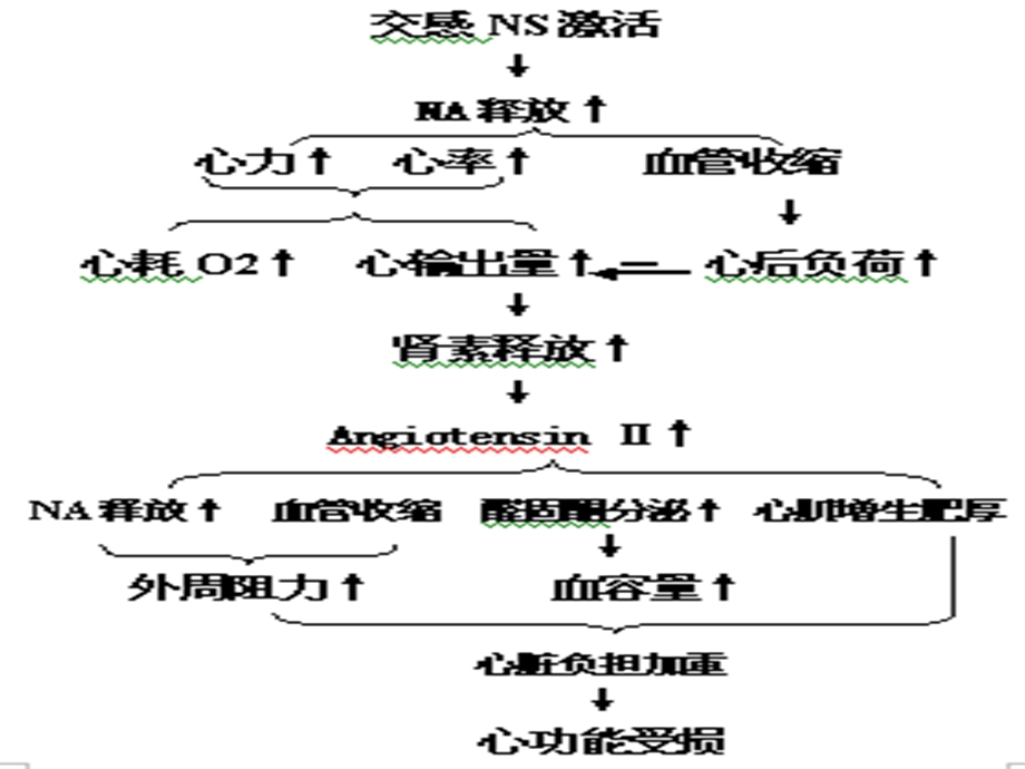 充血性心力衰竭PPT课件.ppt_第3页