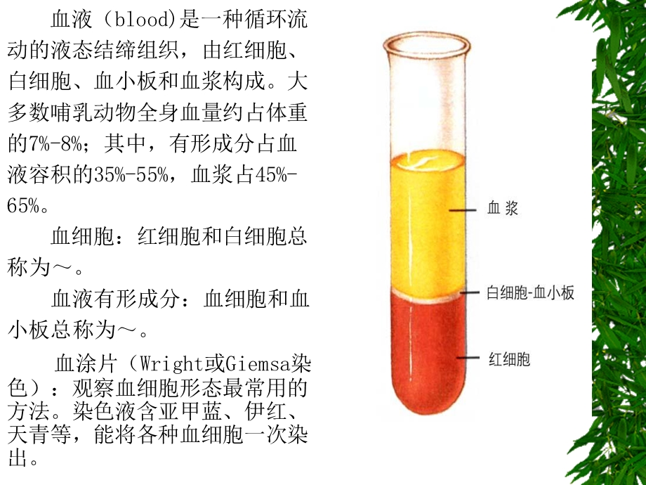 最新第5章,血液PPT文档.ppt_第1页