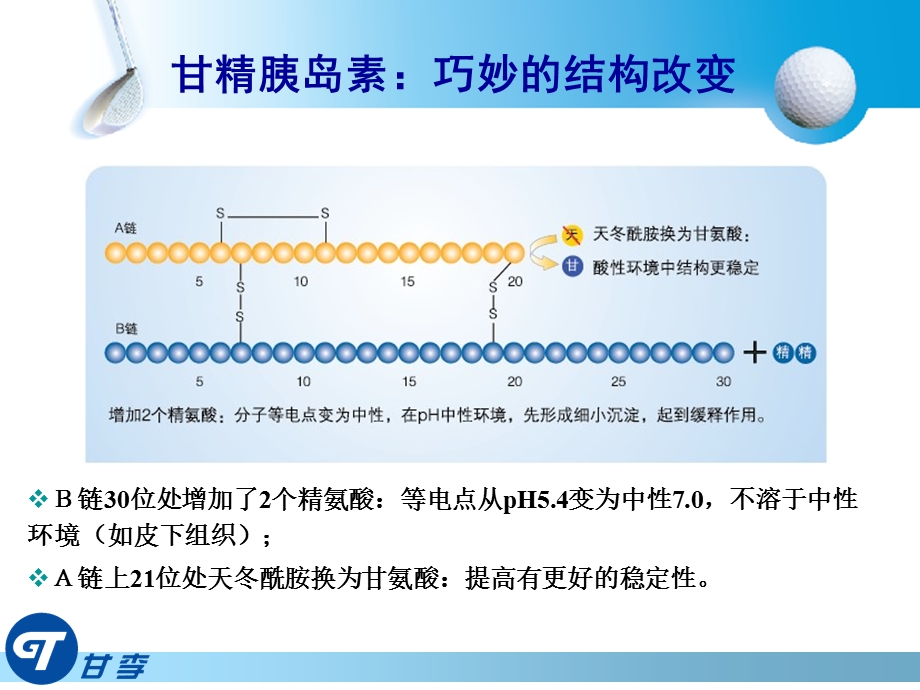 3产品长秀霖安全有效的基础胰岛素精选文档.ppt_第3页