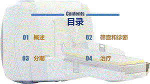 原发性肝癌诊疗规范版PPT文档资料.pptx