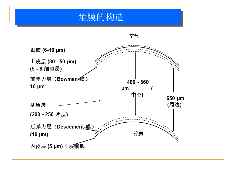 最新屈光手术基础1PPT文档.ppt_第2页