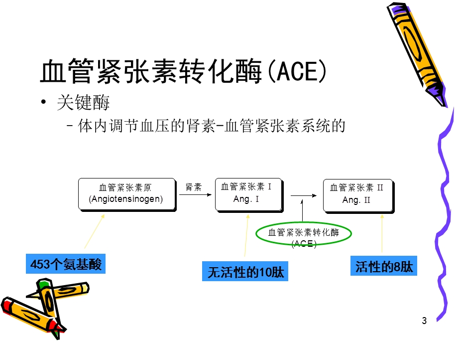 最新：投044血管紧张素抑制药物d文档资料.ppt_第3页