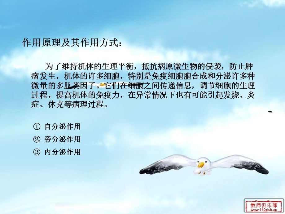 查阅的资料阐述某一种白细胞分化抗原的的研究进展精选文档.ppt_第2页