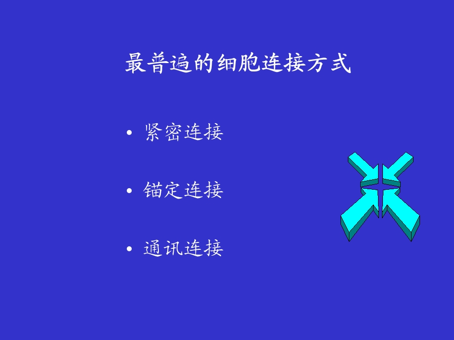 R第章细胞连接与细胞外基质PPT文档资料.ppt_第2页