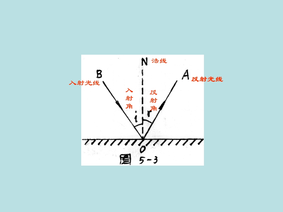 八年级物理上册3.2探究光的反射课件.ppt_第3页