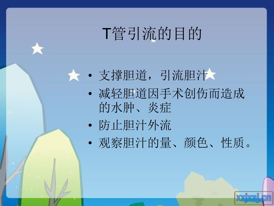 最新T型管护理PPT文档.ppt_第2页