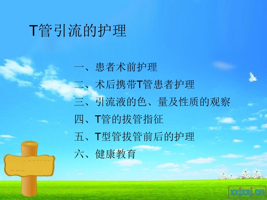 最新T型管护理PPT文档.ppt_第3页