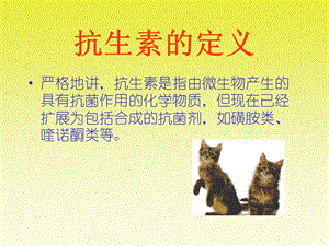 最新犬猫临床抗生素的应用PPT文档.ppt