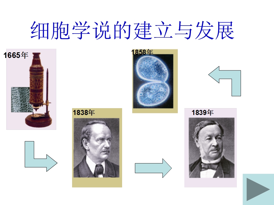 31生命活动的基本单位细胞djnPPT课件.ppt_第1页