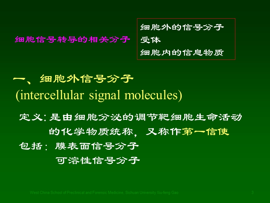 最新第十五章细胞信号转导29pptPPT文档.ppt_第3页