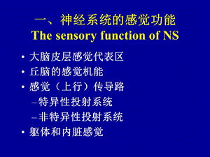 35神经系统的功能PPT文档资料.ppt