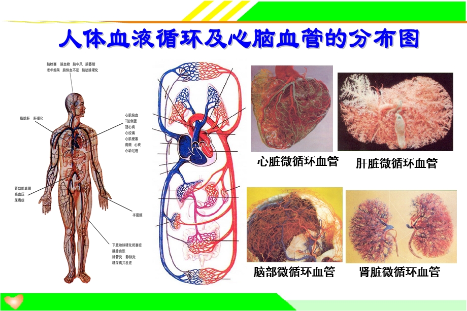 最新：电位治疗器与心脑血管疾病ppt课件文档资料.ppt_第2页