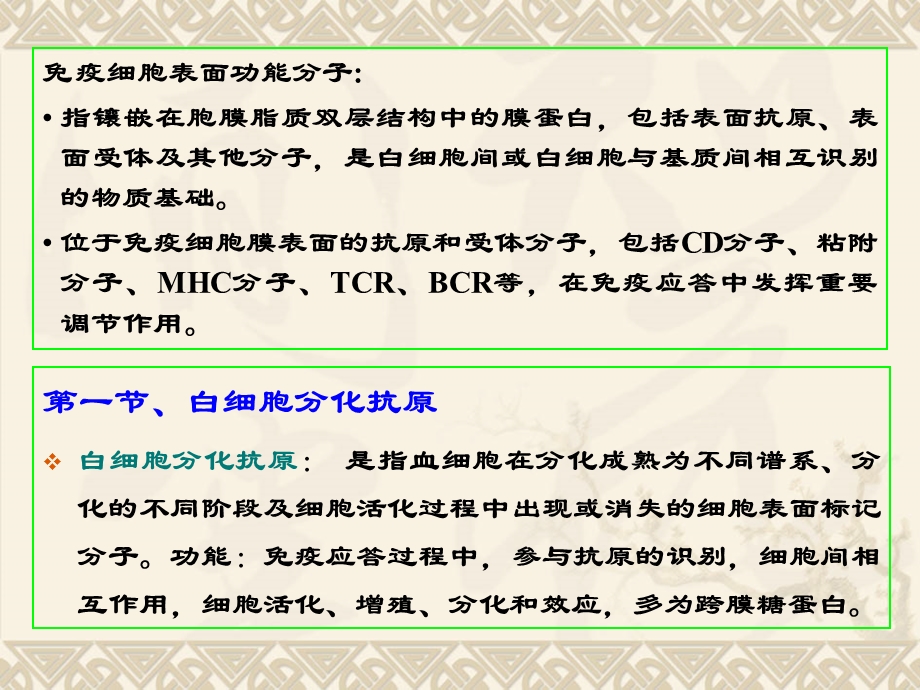 最新免疫学7第七章 白细胞分化抗原与黏附分子PPT文档.ppt_第1页