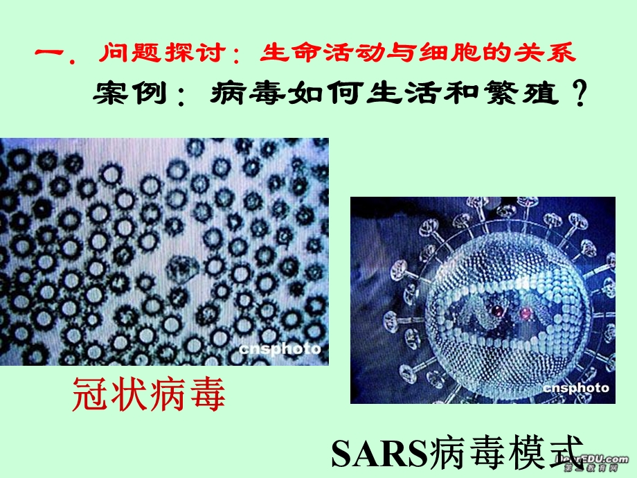 最新高一生物第一章走近细胞第一节从生物圈到细胞课件人教版1PPT文档.ppt_第3页