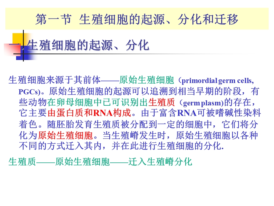 最新A第1章生殖细胞的发生PPT文档.ppt_第1页