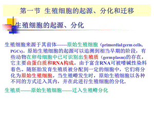 最新A第1章生殖细胞的发生PPT文档.ppt