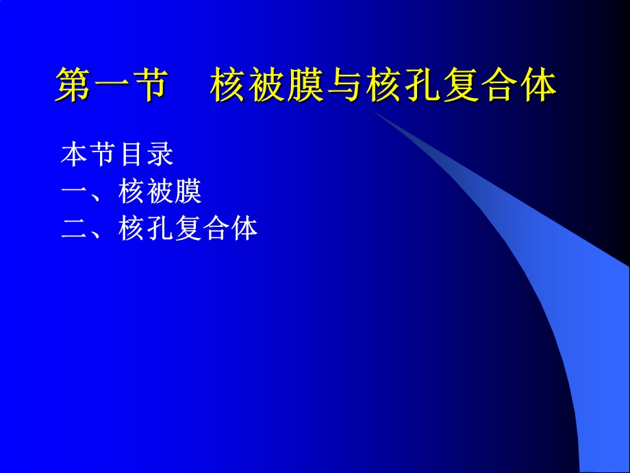 最新第七章 细胞核和染色体PPT文档.ppt_第3页