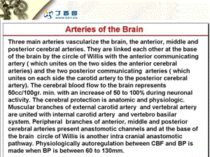 最新：脑血管解剖和造影课件文档资料.ppt