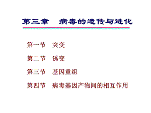 第三章病毒的遗传与进化名师编辑PPT课件.ppt