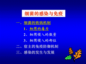 6感染与免疫细菌的致病作用文档资料.ppt