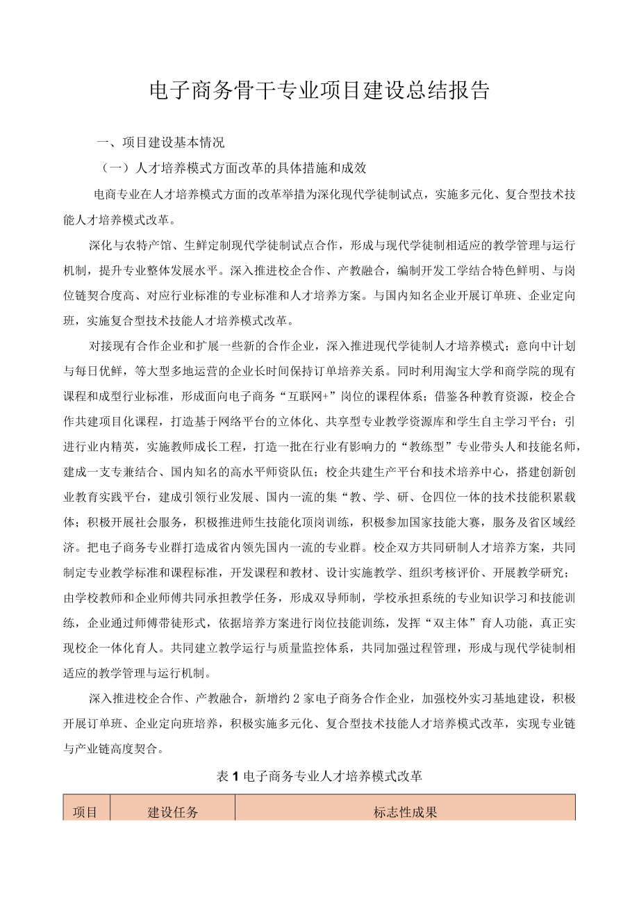 电子商务骨干专业项目建设总结报告.docx_第1页