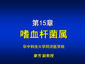 第15章嗜血杆菌属名师编辑PPT课件.ppt