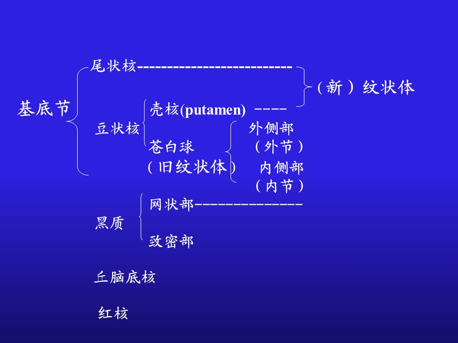 最新锥体外系临床表现1PPT文档.ppt_第3页