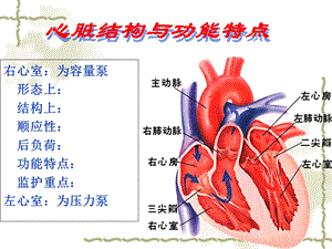 最新PTCA术患者的护理PPT文档.ppt