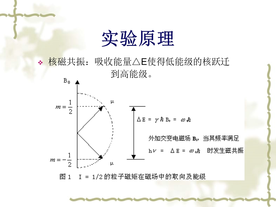 最新核磁共振实验参数影响及弛豫时间测量PPT文档.ppt_第1页