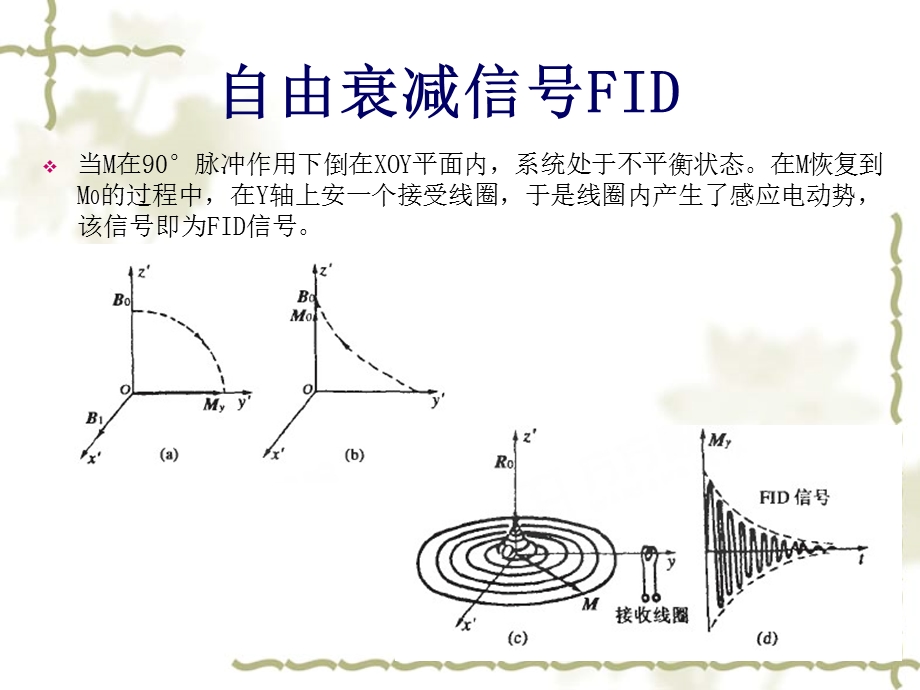 最新核磁共振实验参数影响及弛豫时间测量PPT文档.ppt_第3页