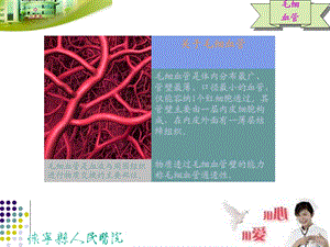 最新：毛细血管渗漏综合征幻灯片文档资料.ppt