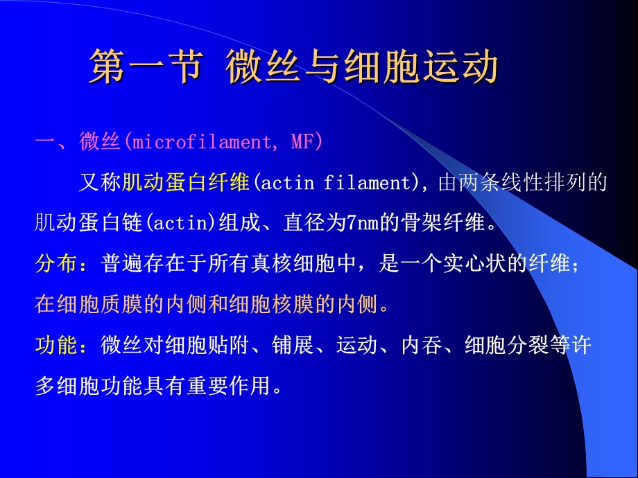 9细胞骨架精选文档.ppt_第2页