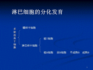 医学免疫学第九章B淋巴细胞文档资料.ppt