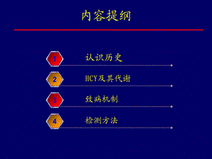 同型半胱氨酸的临床应用文档资料.ppt