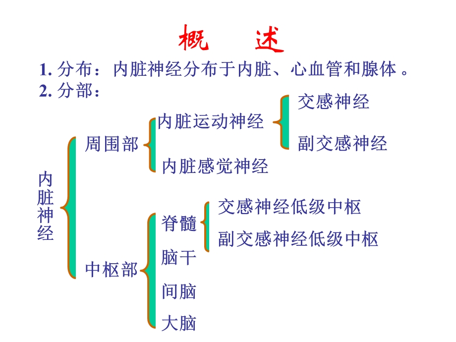 33内脏神经PPT文档.ppt_第1页