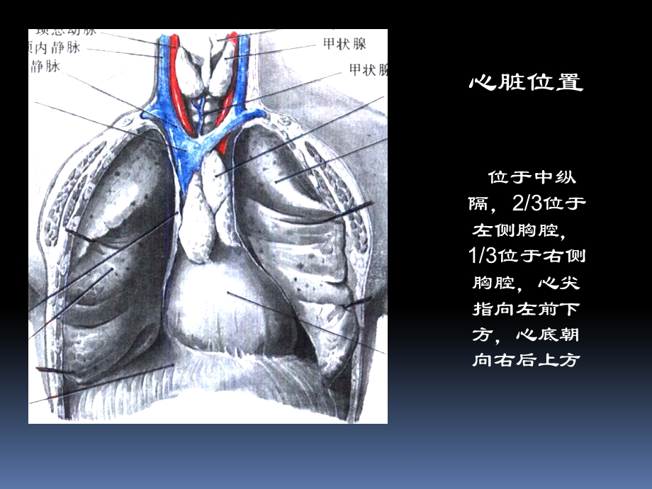 最新：心脏疾病超声诊文档资料.ppt_第2页