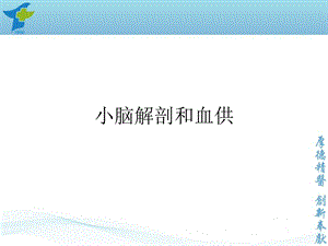 最新小脑出血诊疗规范PPT文档.ppt