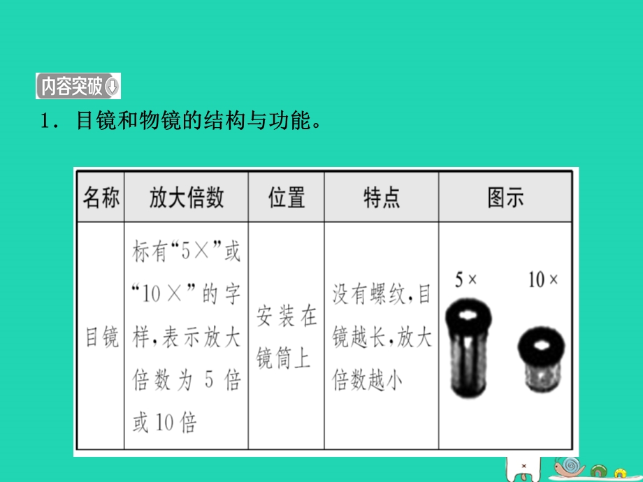 江西中考生物第1部分第一章细胞是生命活动的基本单位复习课件.pptx_第3页