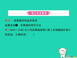 江西中考生物第1部分第一章细胞是生命活动的基本单位复习课件.pptx