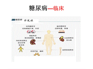 抗糖尿病药文档资料.ppt