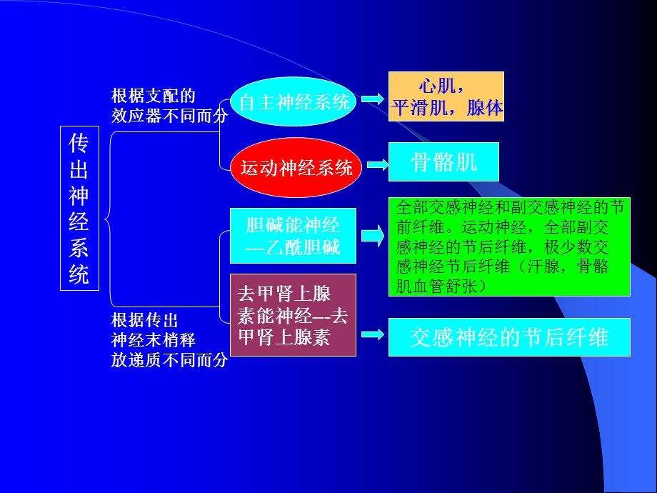 5传出神经系统药理概论精选文档.ppt_第2页