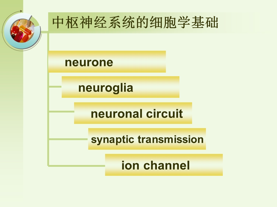 最新：第十章中枢神经系统药理学概论文档资料.ppt_第2页