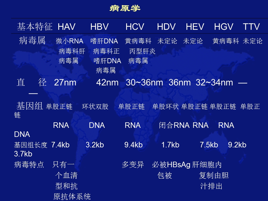 最新病毒性肝炎的治疗和预防幻灯片PPT文档.ppt_第2页