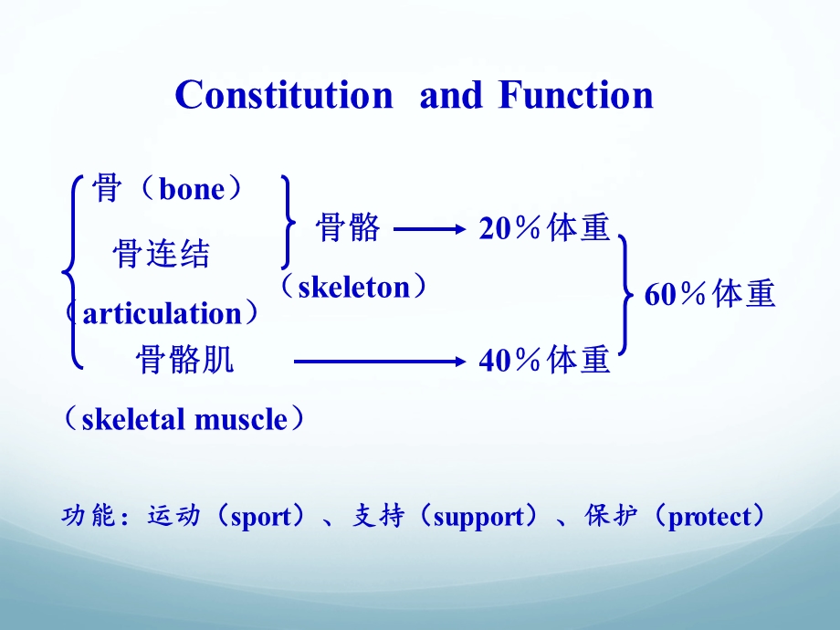 02骨学和关节学概述精选文档.ppt_第1页