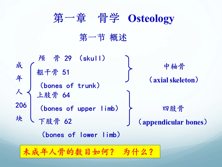 02骨学和关节学概述精选文档.ppt_第2页